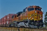 BNSF 4119 East